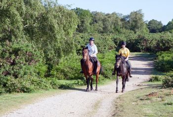 When the Rider is Hot, the Horse is Hotter - Horseyard.com.au