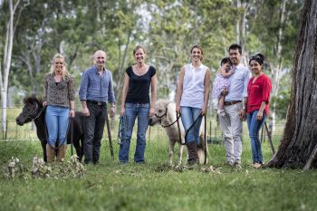 Giddy up: help for plump ponies is fast on its way - Horseyard.com.au