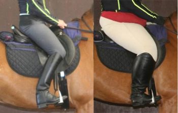 Landmark pilot study addresses effects of rider weight on equine performance - Horseyard.com.au