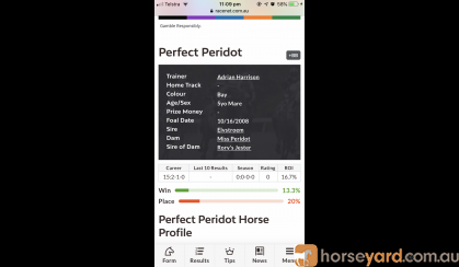“Perfect peridot “ on HorseYard.com.au