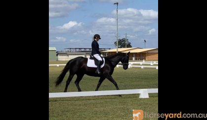 Dressage Competition Clothing on HorseYard.com.au