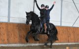 Cute Playday Friesian Gelding Horse. on HorseYard.com.au (thumbnail)