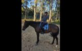 Quiet Kind mare  on HorseYard.com.au (thumbnail)