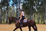 Quiet Kind mare  on HorseYard.com.au