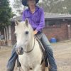 Alrounder welsh pony  on HorseYard.com.au