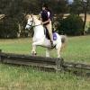 Banjo 14.1HH, 14 year old Paint on HorseYard.com.au