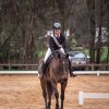 Beautiful quiet mare  on HorseYard.com.au