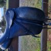 Older Anky professional dressage on HorseYard.com.au