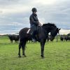 Retrained racehorses for sale on HorseYard.com.au