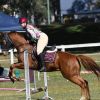 Gelding with loads of potential  on HorseYard.com.au