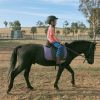 riding pony on HorseYard.com.au