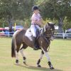 Talented Jumper  on HorseYard.com.au