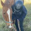 Wanting to buy a beginner horse. on HorseYard.com.au