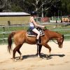 Beautiful gelding on HorseYard.com.au