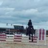 Showjumping school mistress - BERRIVALE sky blue on HorseYard.com.au