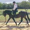 Talented, athletic mare on HorseYard.com.au