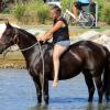 Jet Black Aust Stock Gelding + VIDEO+ on HorseYard.com.au