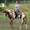 Dead Quiet Outstanding Paint QH Gelding  + VIDEO+