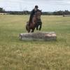 Eventing Prospect, 17 HH, 9YO, TB GELDING on HorseYard.com.au