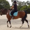 Experienced PC / ARC Mount on HorseYard.com.au