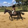 12hh quiet child's lead rein pony on HorseYard.com.au