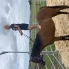 6 yr old riding pony mare on HorseYard.com.au