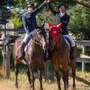 Super athletic allrounder on HorseYard.com.au