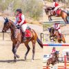 POTENTIAL PLUS EVENTING PROSPECT on HorseYard.com.au