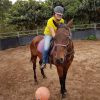 Easygoing OTTB- great trail horse prospect on HorseYard.com.au