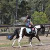 Beautiful registered pony on HorseYard.com.au