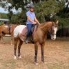 Fun, ready to ride alrounder on HorseYard.com.au