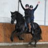 Quick Learner Friesian Gelding Horse. on HorseYard.com.au