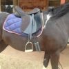 Wintec Lite All Purpose Saddle on HorseYard.com.au