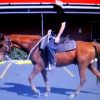 SUPER QUIET RED QH GELDING +VIDEO+ on HorseYard.com.au