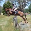 Great teenagers mount on HorseYard.com.au