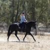 Stunning Black Andalusian x TB mare on HorseYard.com.au