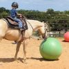 Beginner Quarter Horse Palomino on HorseYard.com.au