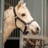 Pretty palomino pony  on HorseYard.com.au