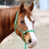 Rope Halters on HorseYard.com.au