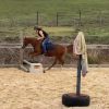 Friendly Australian Riding Pony on HorseYard.com.au