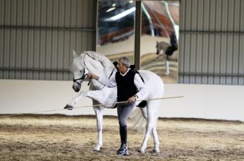 Saturday EQUITANA Melbourne – A Spectacular Experience!