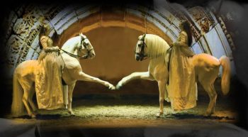 Cavalia Gallops Down Under For the First Time In 2013