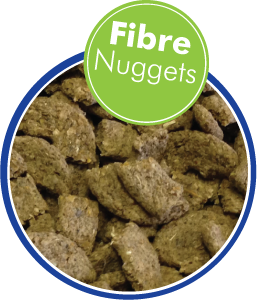 Alternative Roughage Sources: Fibre Nuggets Combining Nutrition And Convenience